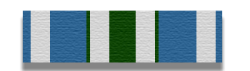 Volunteer Service Medal