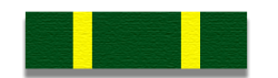 NCO Development Ribbon